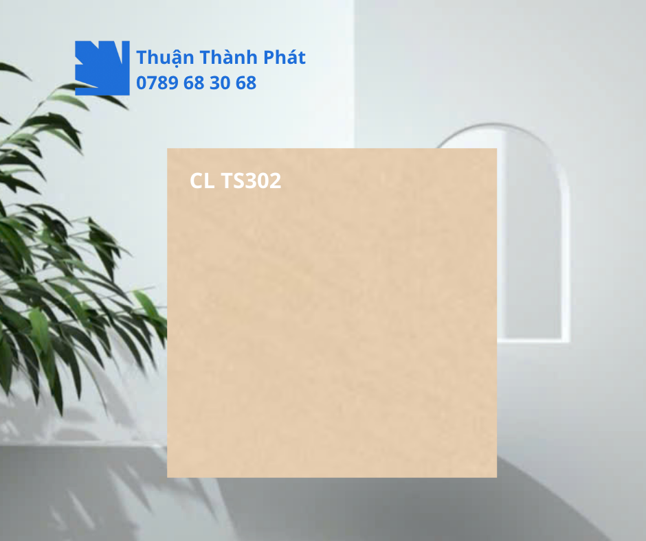 Gạch ốp lát Viglacera CL TS302 xám be bóng mờ