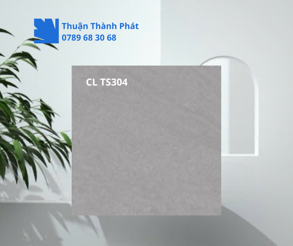 Gạch ốp lát Viglacera CL TS304 xám ghi vân đá bóng mờ