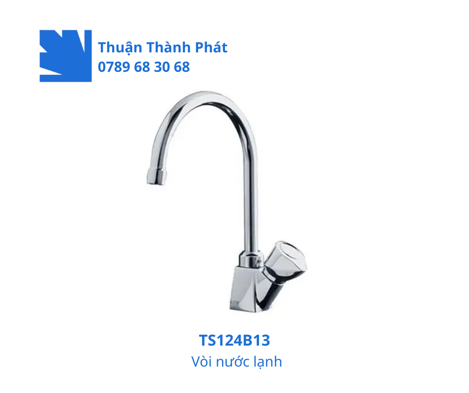 Vòi bếp nước lạnh TS124B13 bằng đồng mạ crom