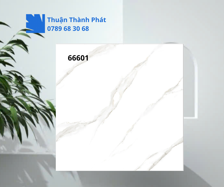 Gạch ốp lát 66601 – cận vân đá trắng