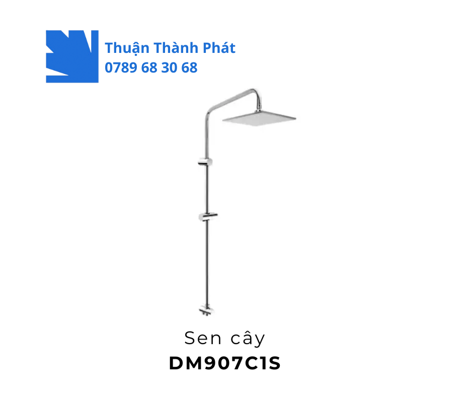 Sen cây TOTO DM907C1S mạ chrome cao cấp
