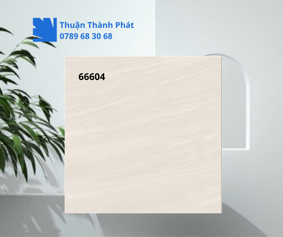 Gạch ốp lát 66604 cận ảnh