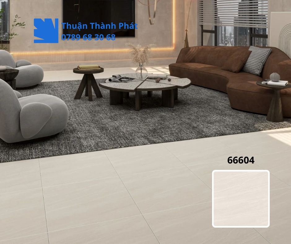 Gạch ốp lát 66604 ứng dụng phòng khách