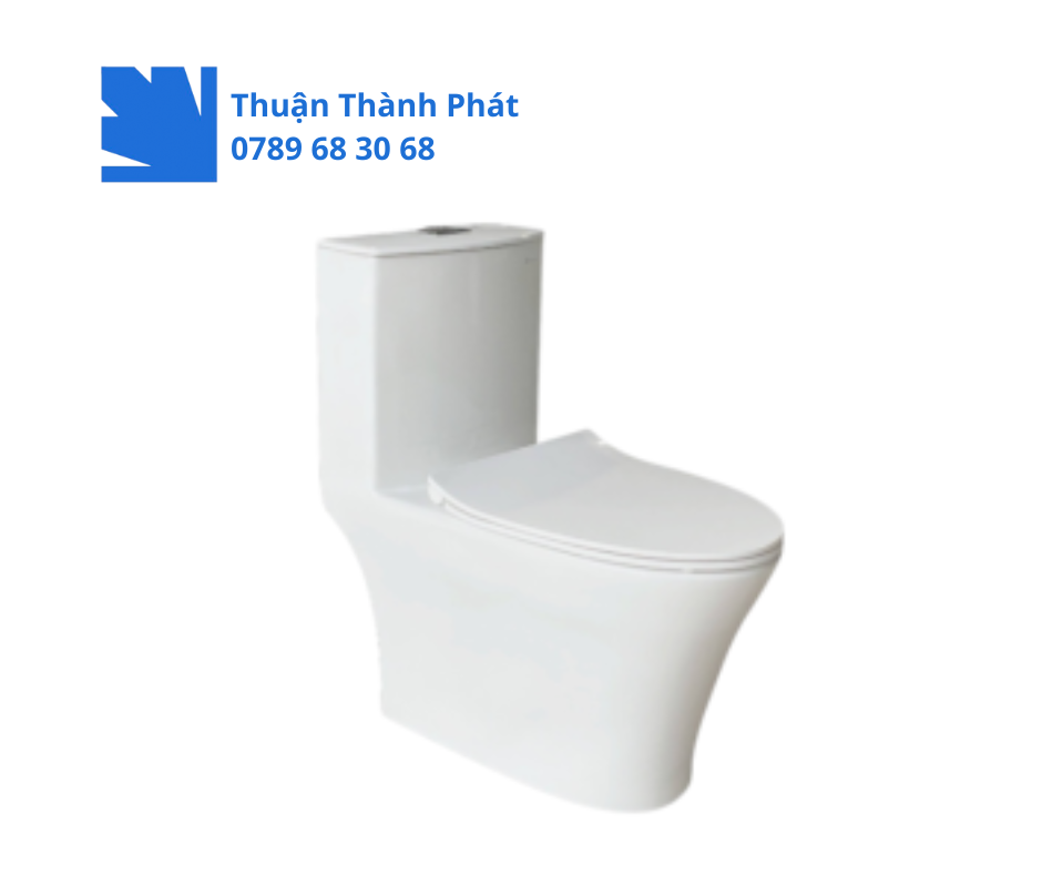 Bồn cầu 1 khối Thiên Thanh CK30 Slim màu trắng hiện đại