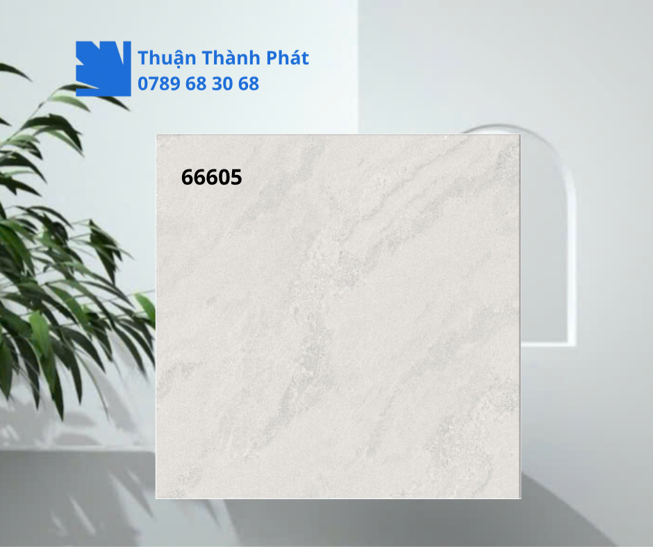 Gạch ốp lát 66605 cận cảnh