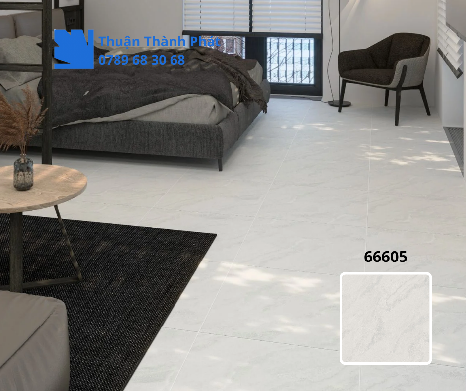 Gạch ốp lát 66605 trong phối cảnh
