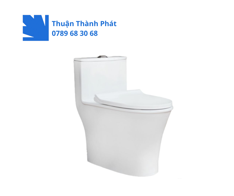 Bồn cầu 1 khối Thiên Thanh CK66 - Galaxy thiết kế liền khối