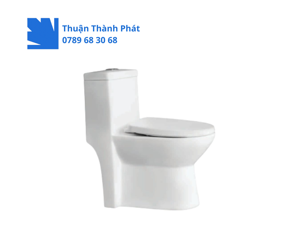 Bồn cầu 1 khối Thiên Thanh CK 67 - Water thiết kế vuông gọn