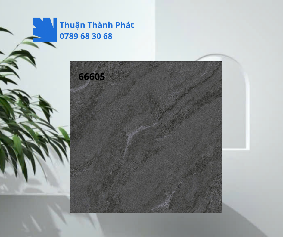 Gạch ốp lát 66606 màu xám ghi đậm