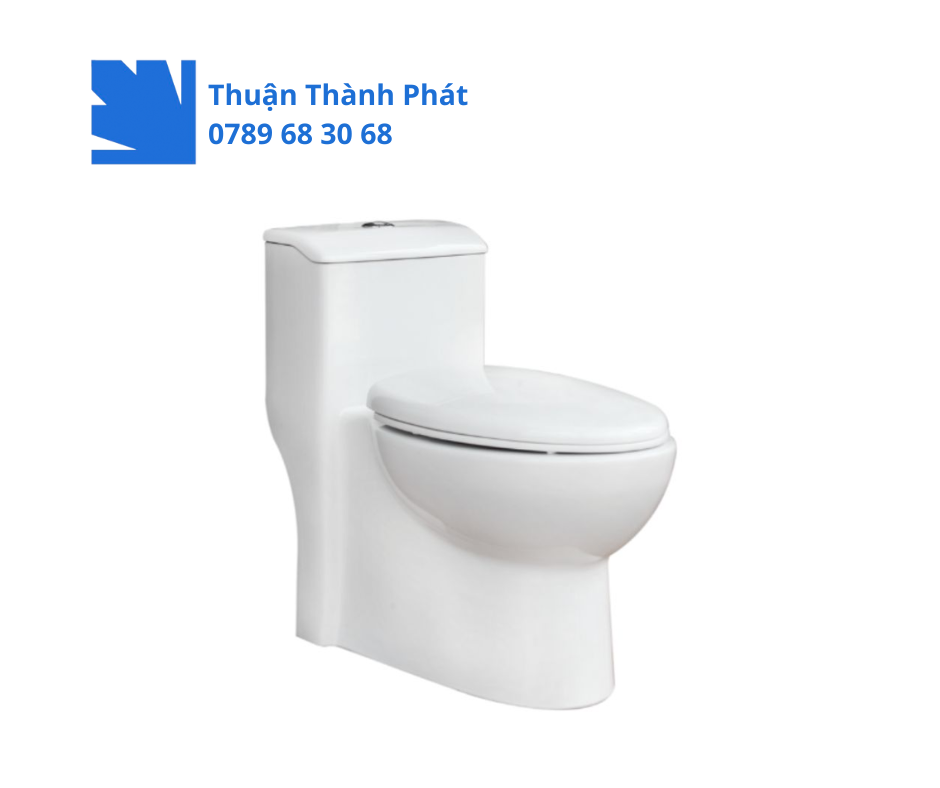 Bồn cầu 1 khối Thiên Thanh CK 68 - Titan với thiết kế vuông khỏe