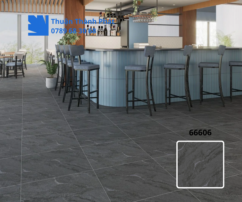 Gạch ốp lát 66606 phối cảnh