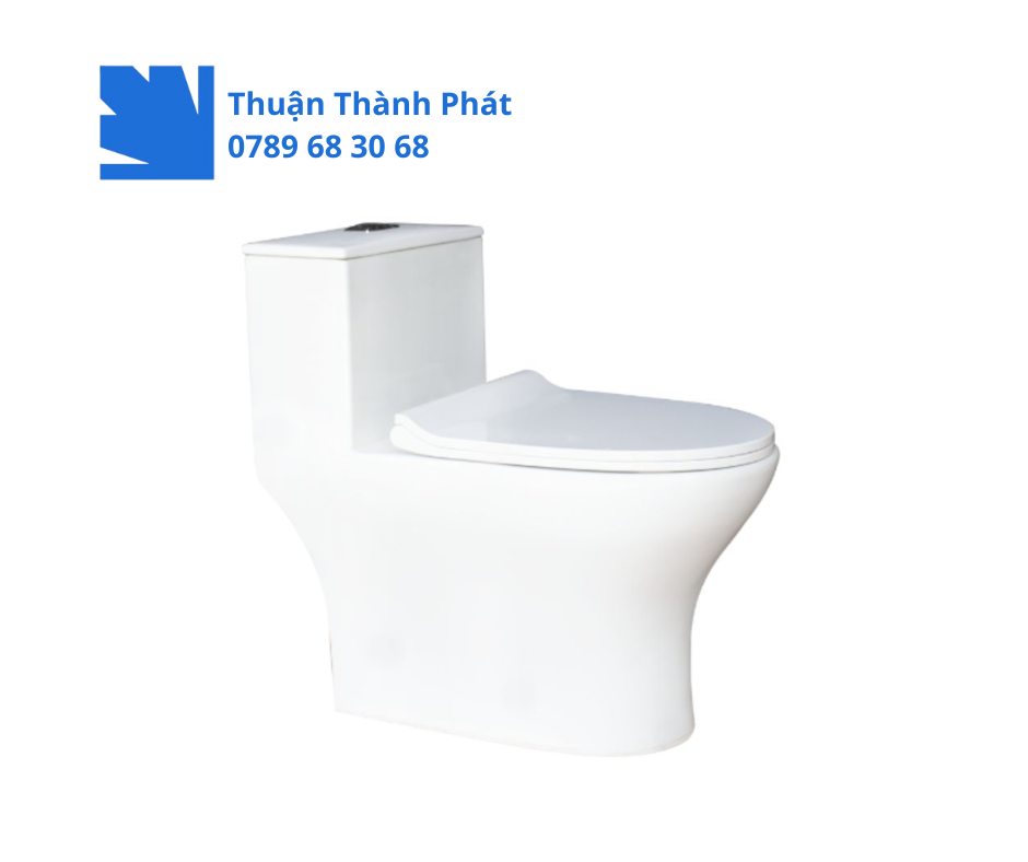 Bồn cầu 1 khối Thiên Thanh CK 79 Everest thiết kế góc mạnh mẽ
