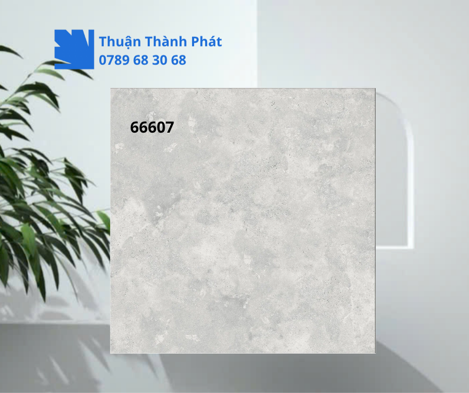 Gạch ốp lát 66607 màu xám ghi sáng