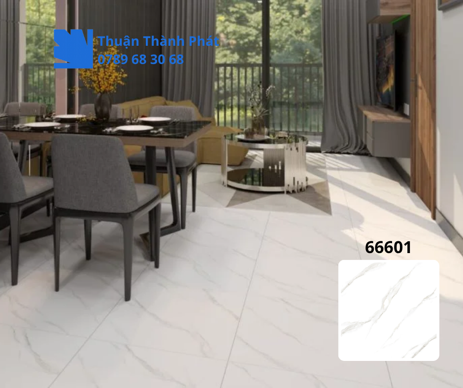 Gạch ốp lát 66601