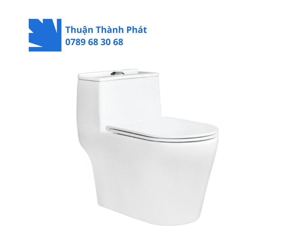 Bồn cầu 1 khối Thiên Thanh CK 99 Lux sang trọng và tinh tế