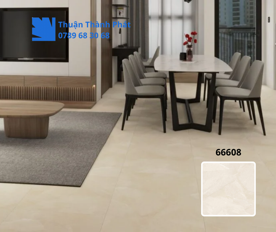 Gạch ốp lát 66608 Cận cảnh vân đá gạch