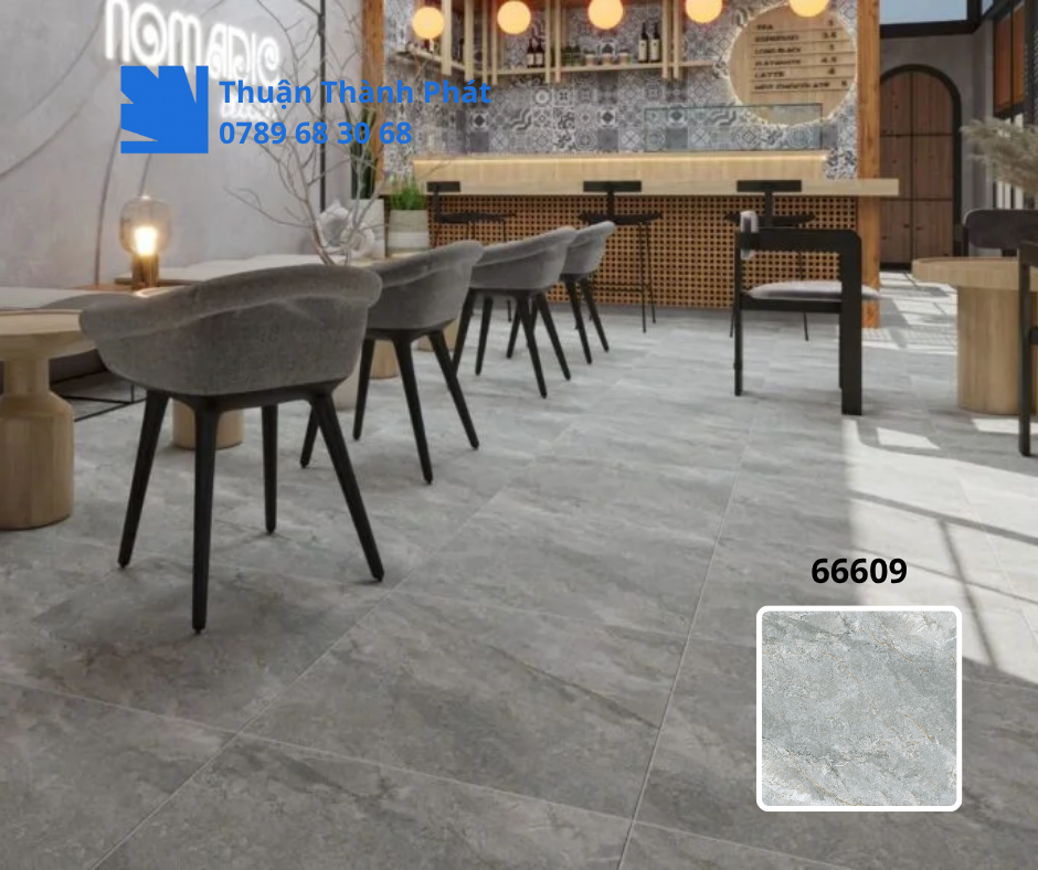 Gạch ốp lát 66609 phối cảnh