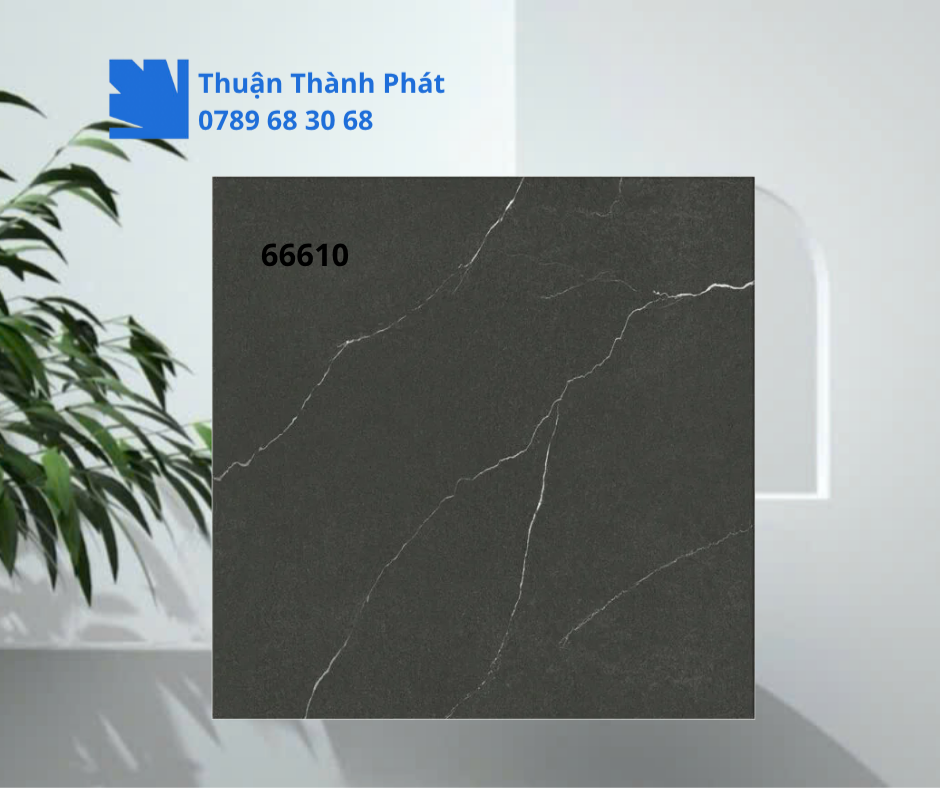 Gạch ốp lát 66610 màu đen vân trắng