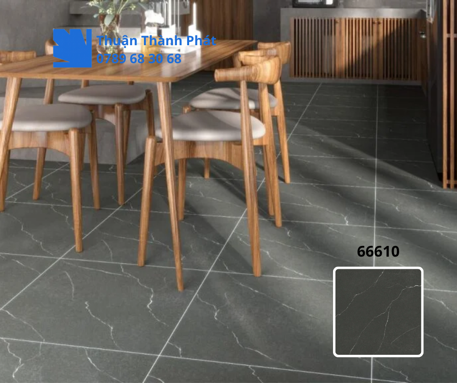 Gạch ốp lát 66610 phối cảnh
