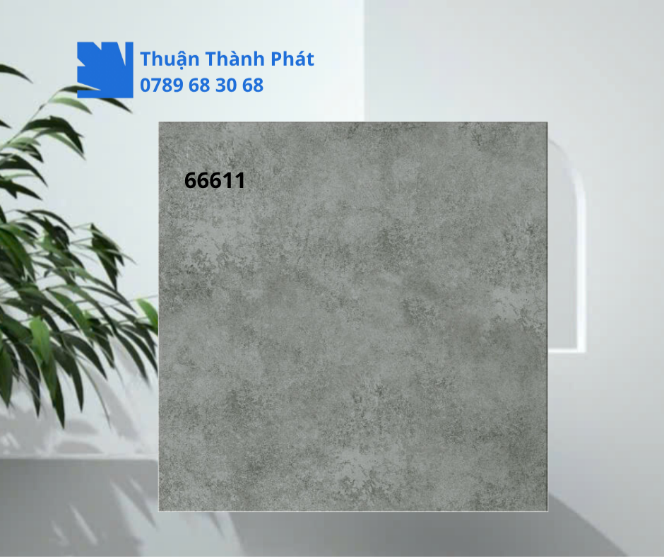 Gạch ốp lát 66611 phòng khách