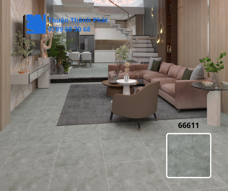 Gạch ốp lát 66611