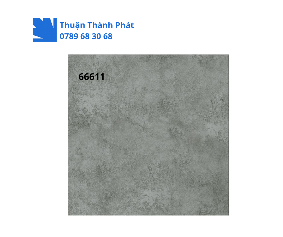 GẠCH ỐP LÁT 66611 3 Gạch ốp lát 66611 cận cảnh