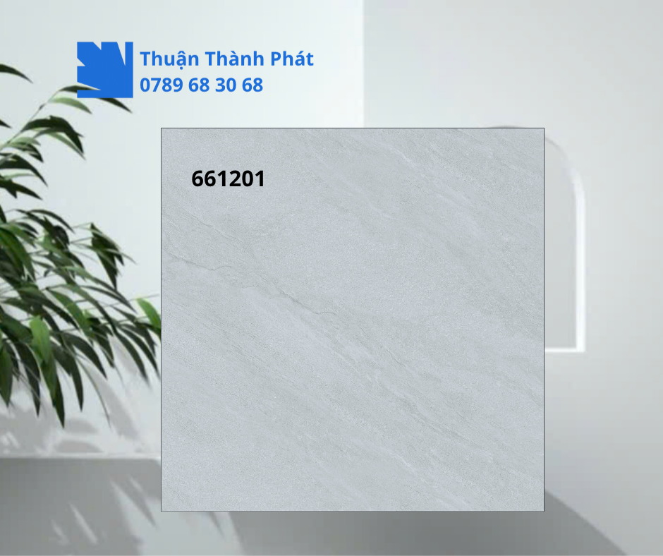 Gạch ốp lát 661201 phòng khách