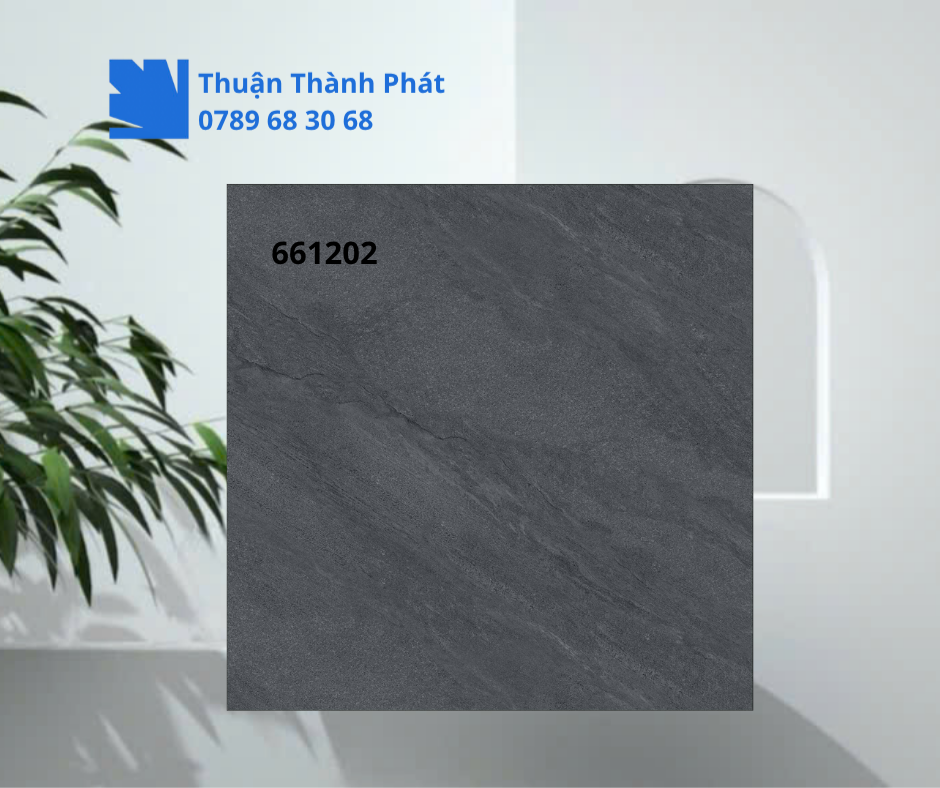 Gạch ốp lát 661202 cận cảnh