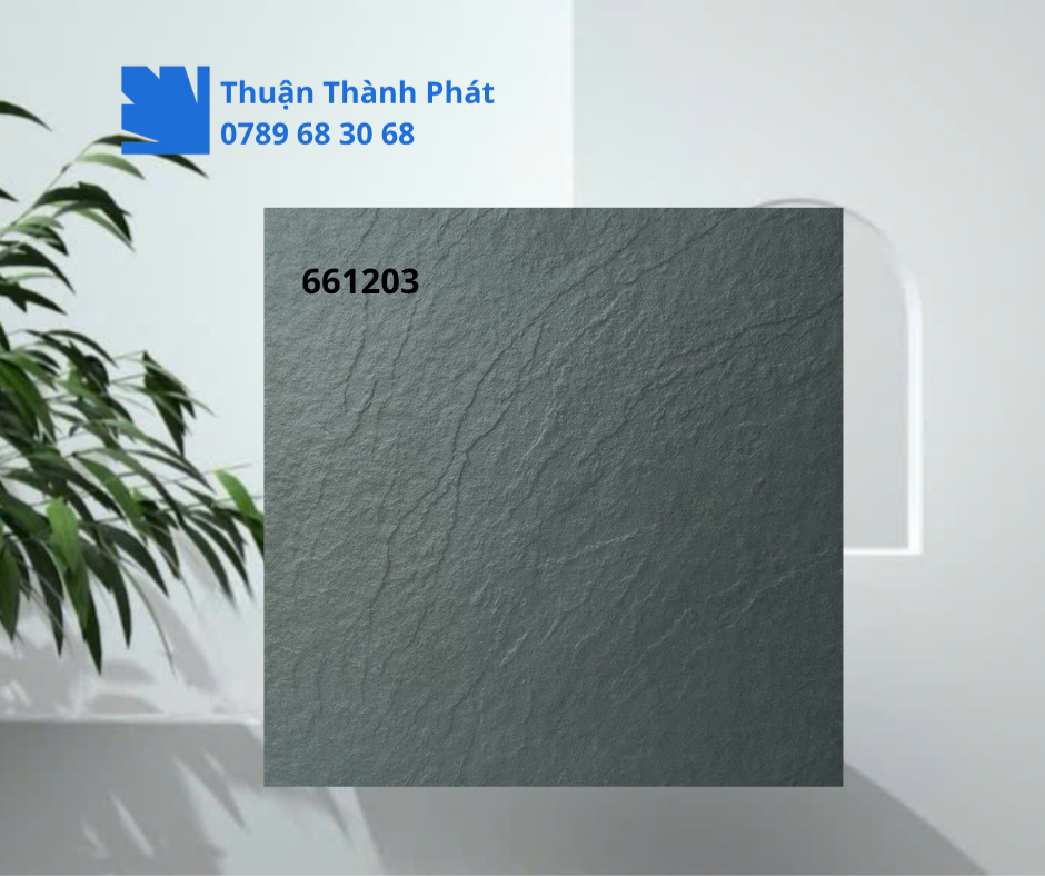 Gạch ốp lát 661203 xám nhạt men mờ vân đá tự nhiên