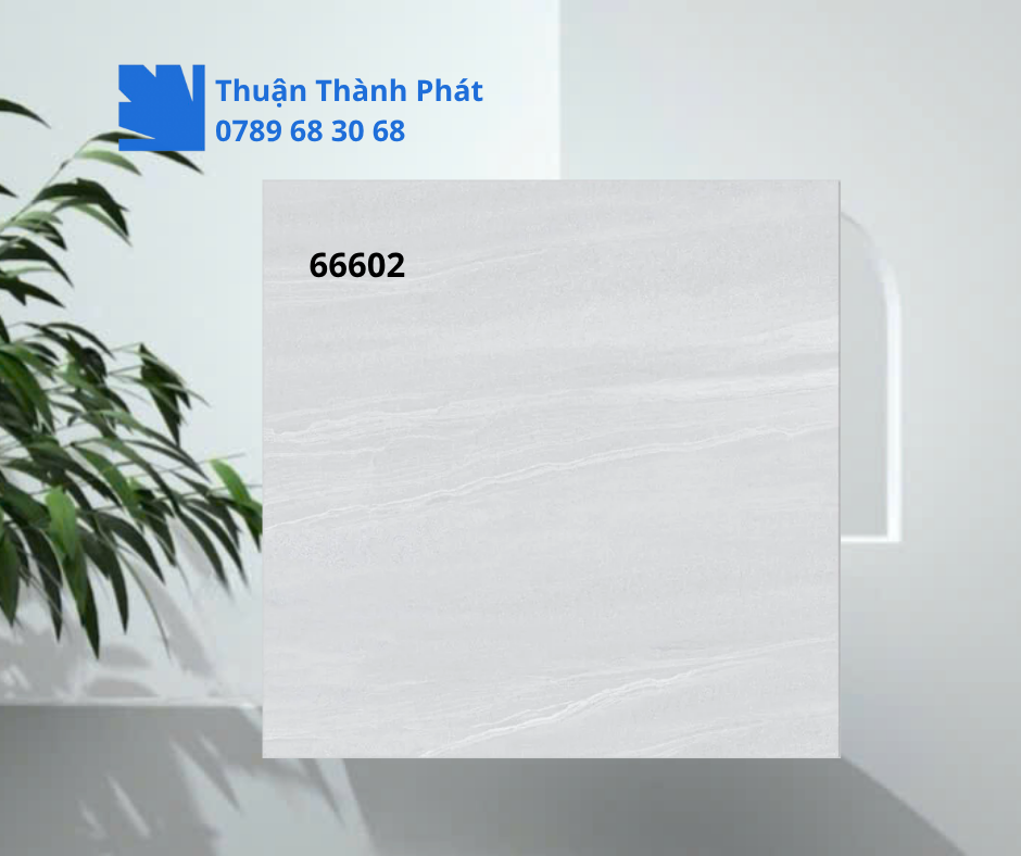 Gạch ốp lát 66602 cận