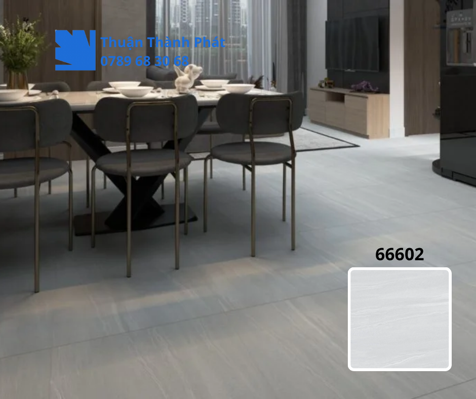 Gạch ốp lát 66602