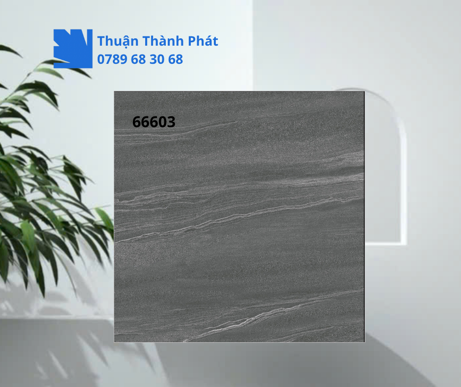 Gạch ốp lát 66603