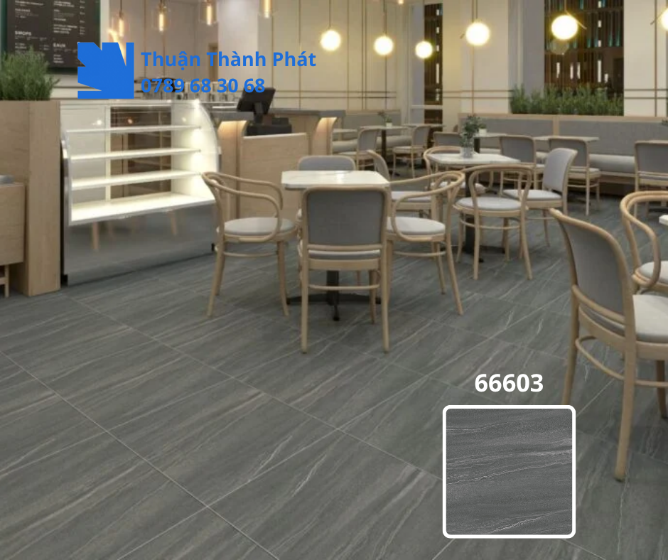 Gạch ốp lát 66603 trong phòng khách sáng