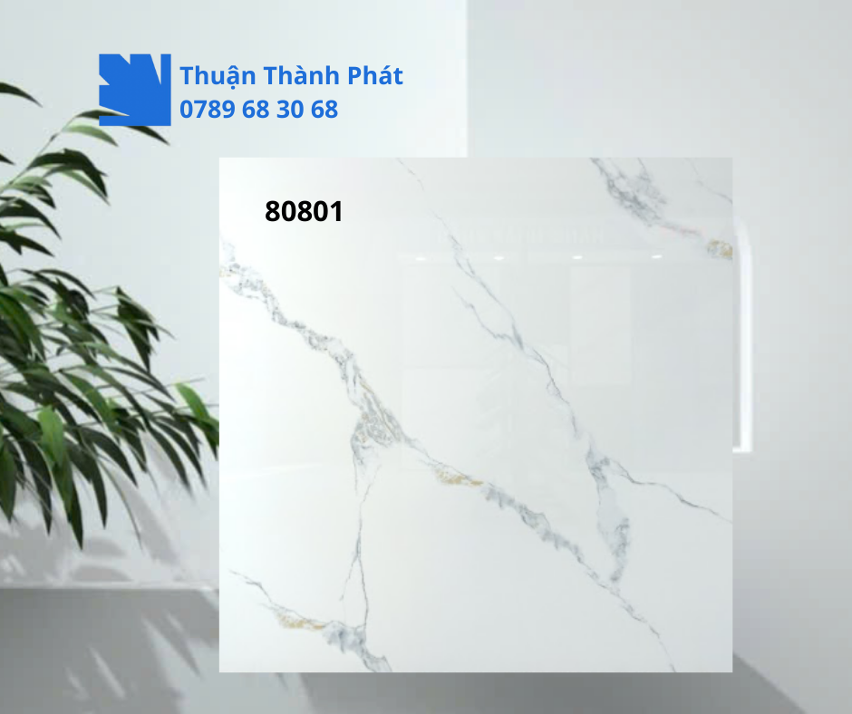 Gạch ốp lát 80801 vân đá tự nhiên