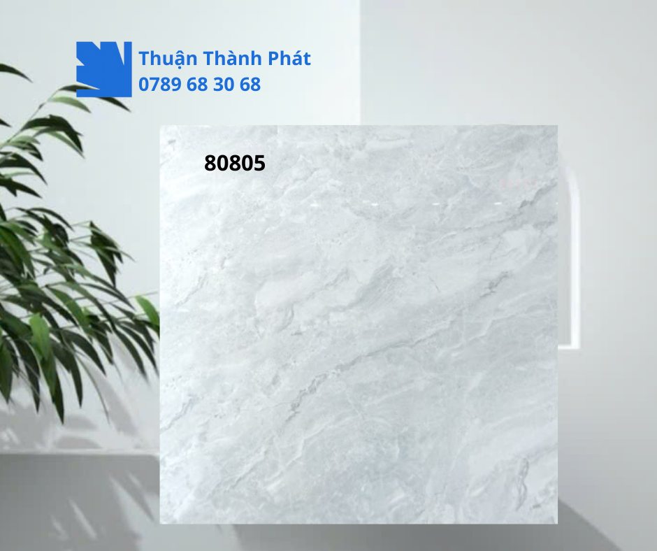 Gạch ốp lát 80805 men bóng – bề mặt vân đá sáng