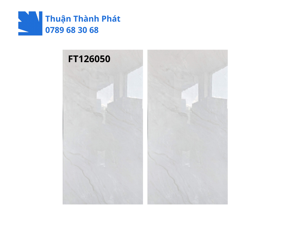 Gạch Ốp Lát FT126050 3 Gạch ốp lát FT126050 sang trọng