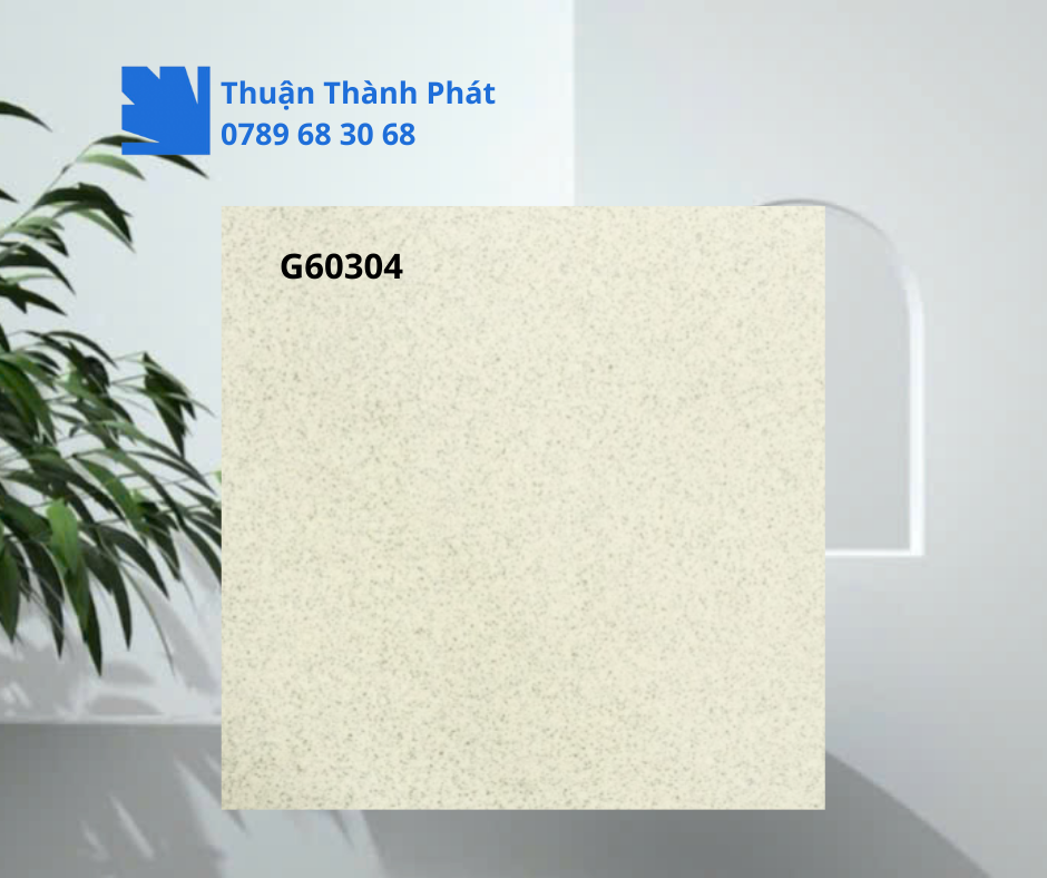 Gạch Lát Nền G60304 cận cảnh