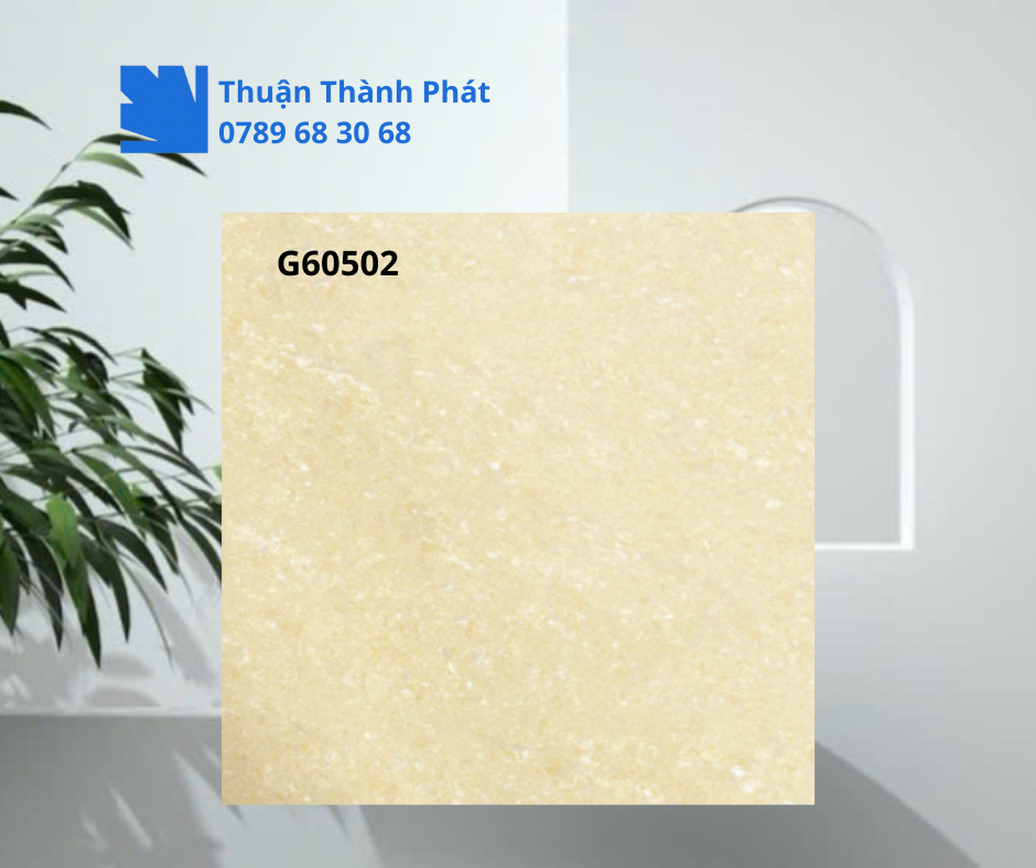 Gạch Lát Nền G60502