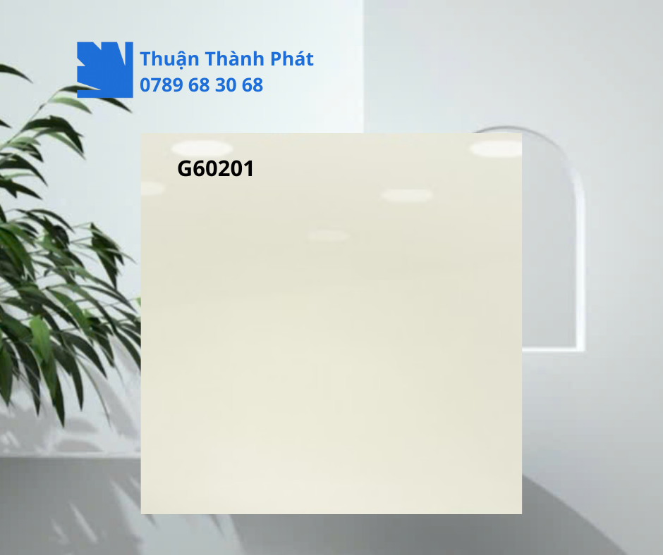 Gạch Lát Nền G60201 cận cảnh bề mặt