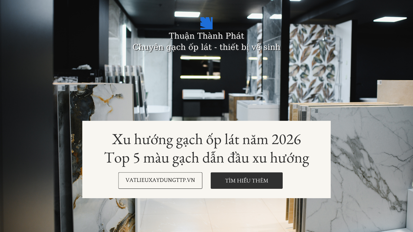 Xu hướng gạch ốp lát năm 2026 màu dẫn đầu xu