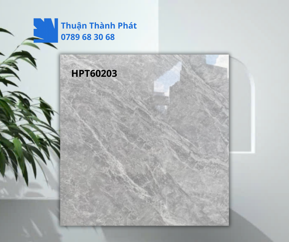 Gạch ốp lát HPT60203 cận cảnh bề mặt vân đá