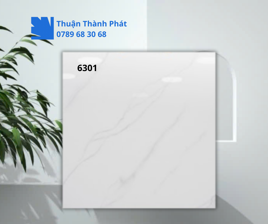 Gạch ốp lát 6301 bề mặt bóng trắng vân nhẹ