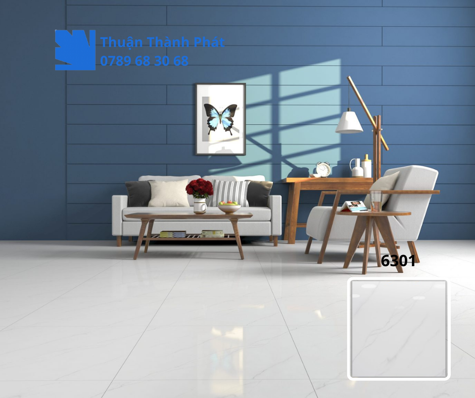 Gạch ốp lát 6301