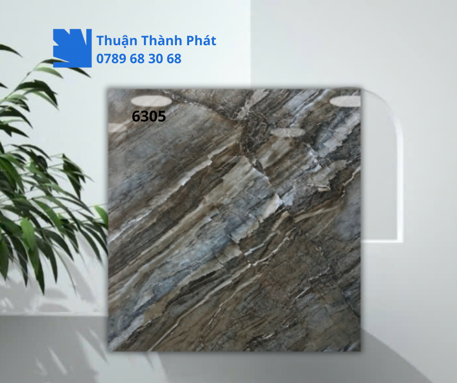 Gạch ốp lát 6305