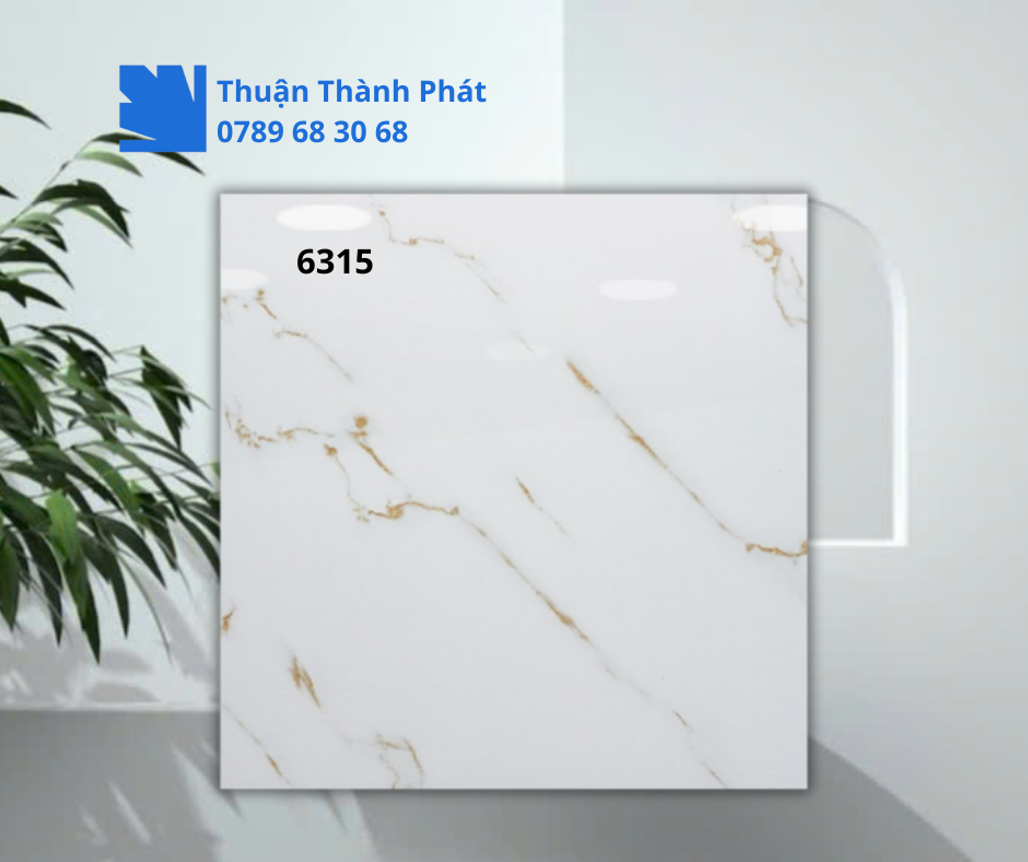Gạch ốp lát 6315