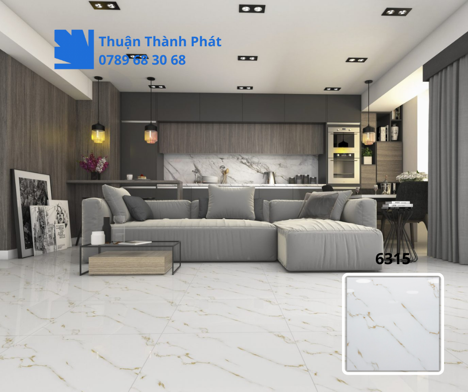 Gạch ốp lát 6315
