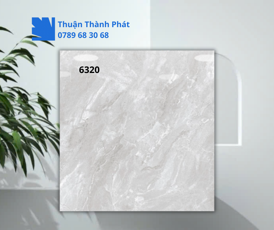 Gạch ốp lát 6320