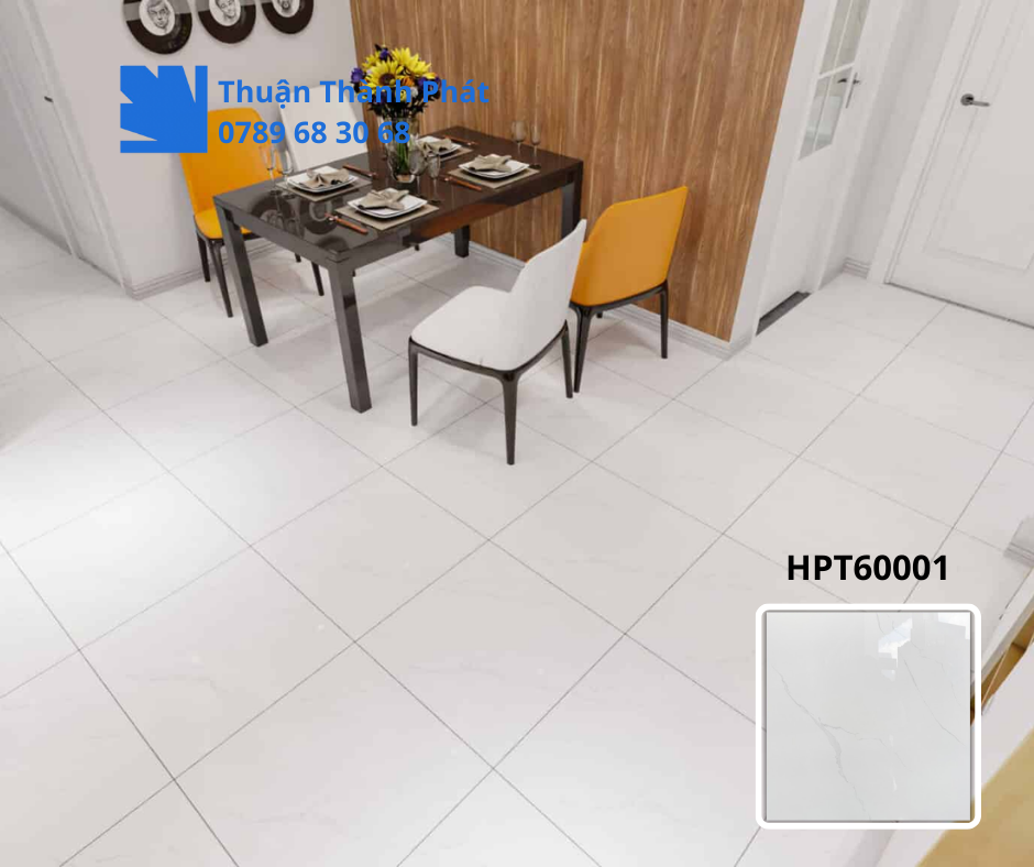 Gạch ốp lát HPT60001